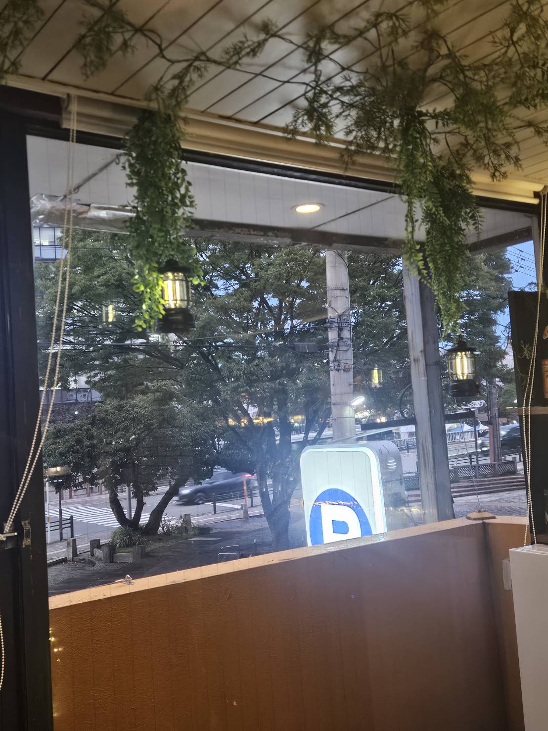 店内のグリーン